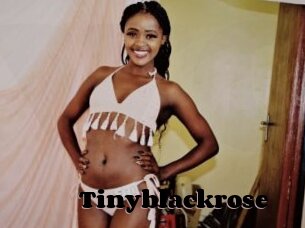 Tinyblackrose