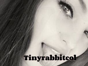 Tinyrabbitcol