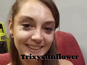 Trixysunflower