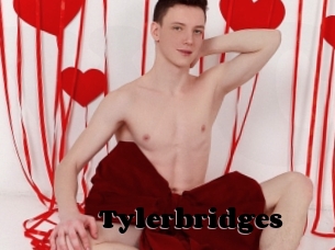 Tylerbridges