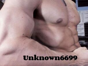 Unknown6699