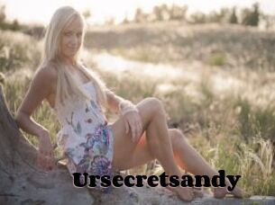 Ursecretsandy