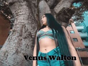 Venus_Walton