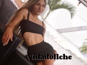 Vidadollche