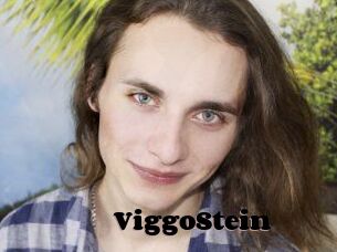 ViggoStein