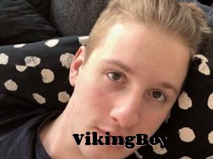 VikingBoy