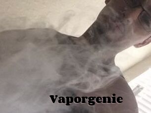 Vapor_genie