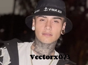 Vectorx073