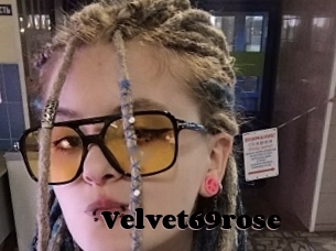Velvet69rose
