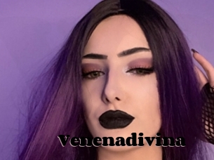 Venenadivina