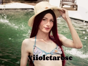Viioletarose