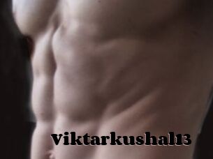 Viktarkushal13