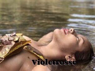 Violetrosse