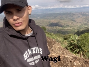 Wagi
