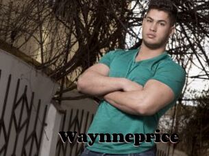 Waynneprice