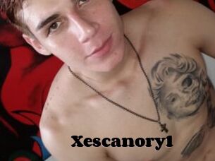 Xescanory1