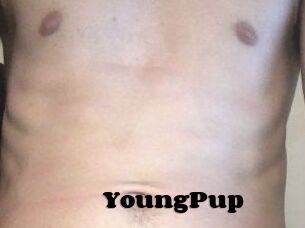 YoungPup