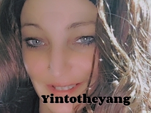 Yintotheyang