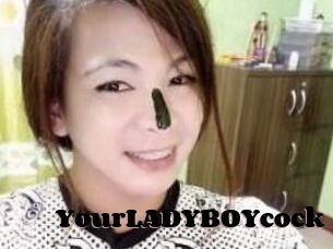 YourLADYBOYcock
