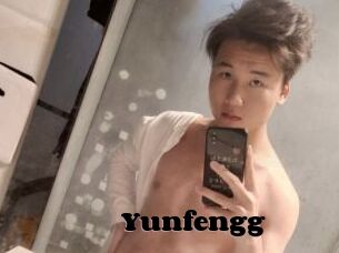 Yunfengg