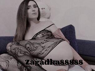 Zagadka88888
