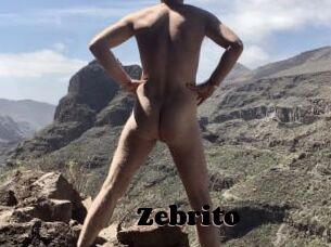 Zebrito