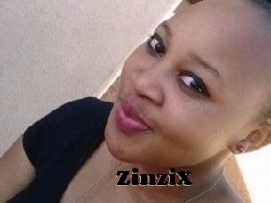 ZinziX