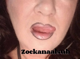 Zoekanaalsub